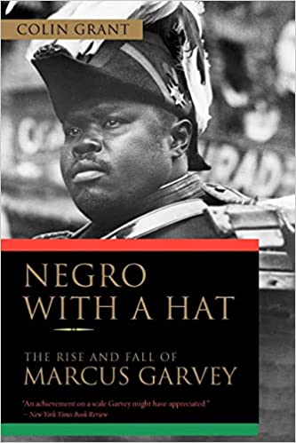 Negro With a Hat book cover