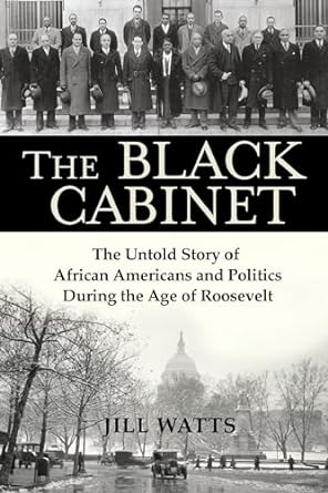 The Black Cabinet Book Cover